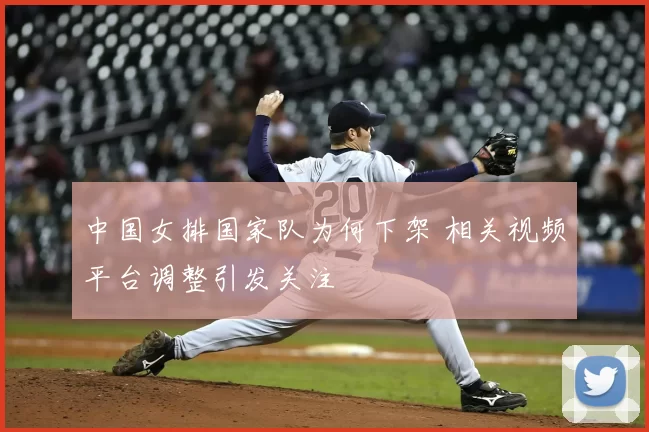 中国女排国家队为何下架 相关视频平台调整引发关注