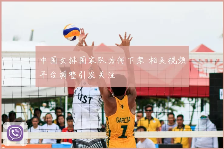中国女排国家队为何下架 相关视频平台调整引发关注
